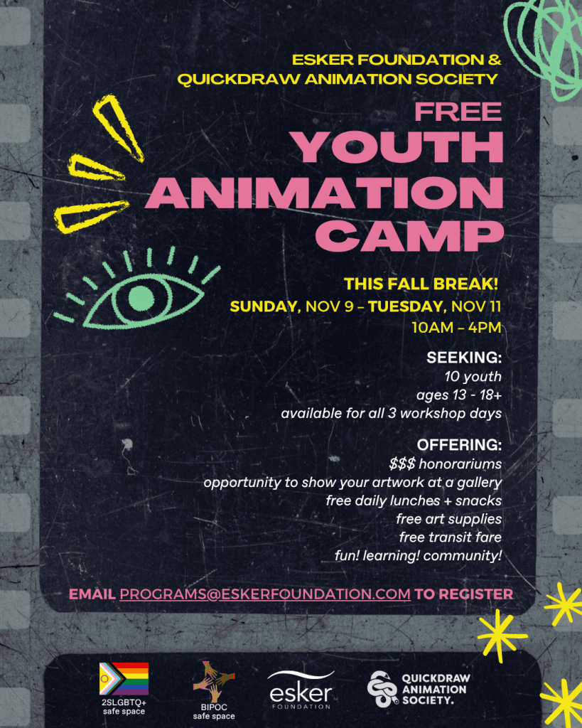Youth Animation Camp Presented in partnership with Quickdraw Animation ...